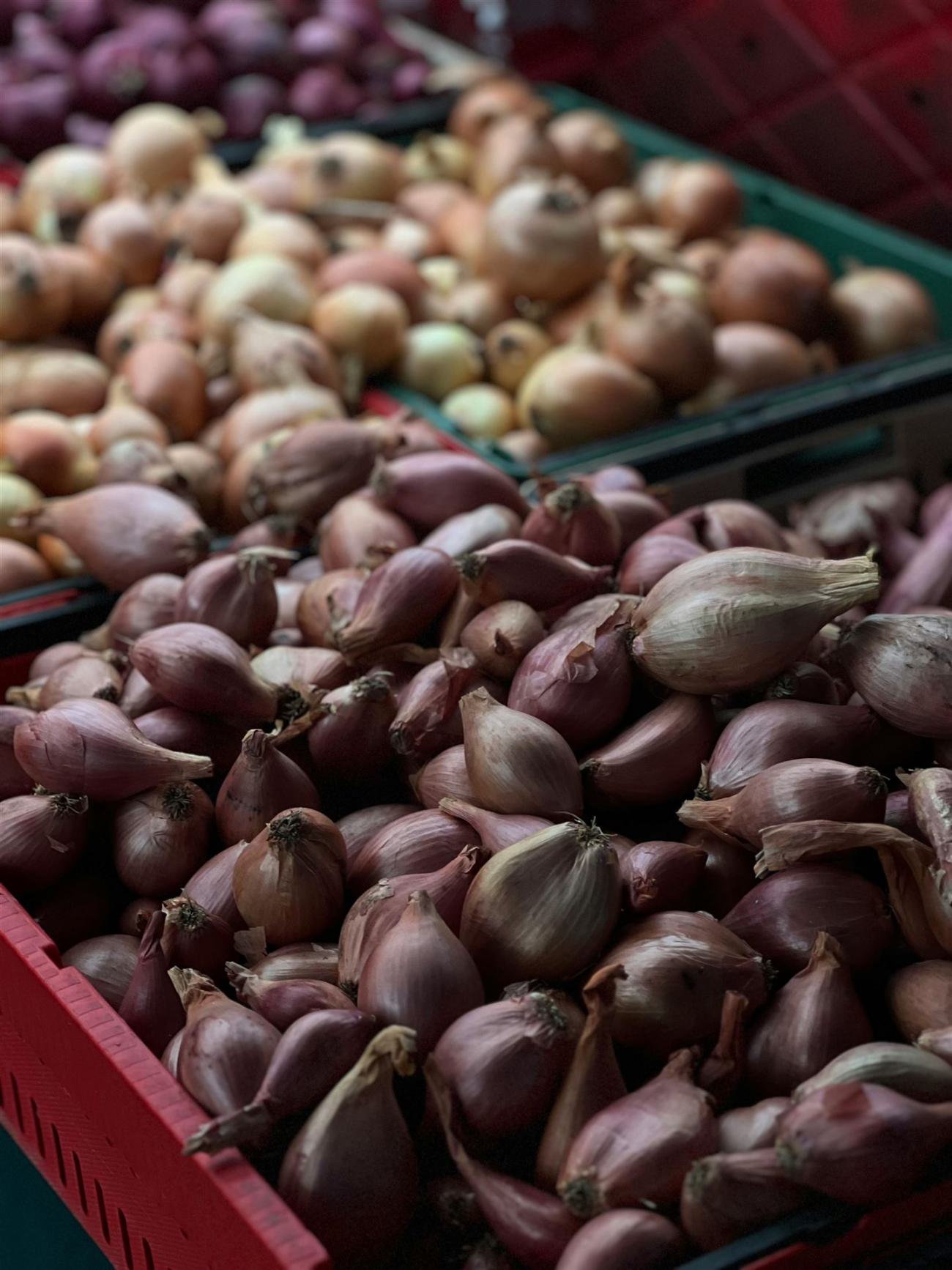 Kostenloses Stock Foto zu bauernmarkt, display produzieren, einkaufen